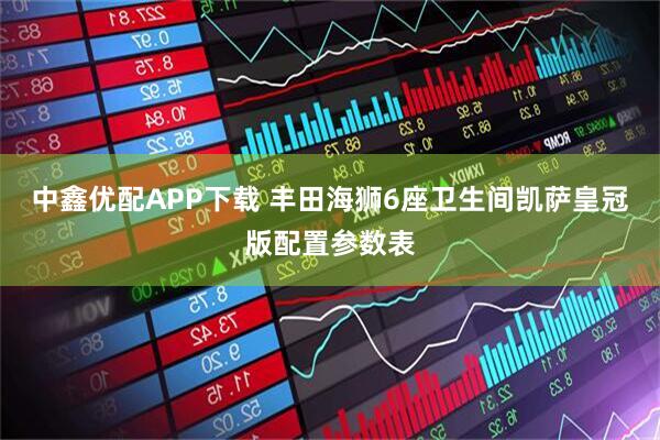 中鑫优配APP下载 丰田海狮6座卫生间凯萨皇冠版配置参数表
