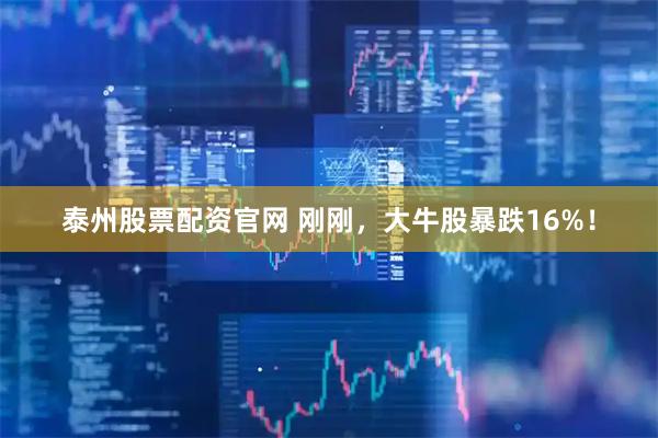 泰州股票配资官网 刚刚，大牛股暴跌16%！